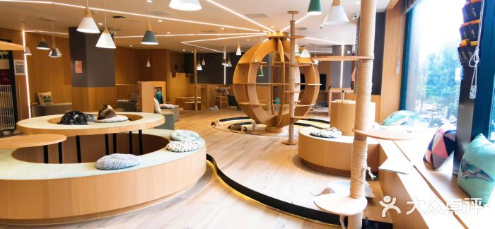 CAT’S MEWSTAR CAFE·喵星球猫屋(晴湾咖啡店)图片