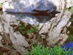 -碓臼峪自然风景区