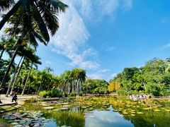 -中国科学院西双版纳热带植物园