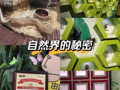 -萌宠奇缘(荣鼎店)