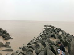 -南汇嘴观海公园