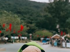 -鹿嘴山庄