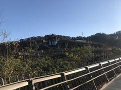 -梅峰山地公园