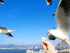 -海埂大坝
