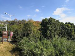 -天目湖山水园
