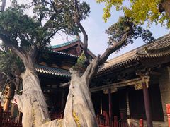 -晋祠公园