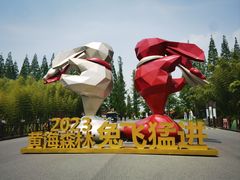 -黄海国家森林公园