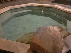 -天目湖涵田半山温泉
