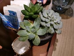 -天瑞轩·粤菜餐厅