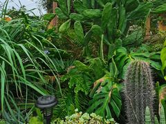 -悦哉·派对·草坪婚礼·围炉煮茶(三圣乡店)