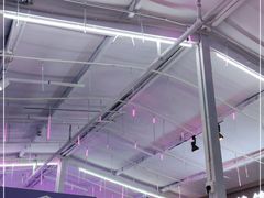 -老昆明网红小吃城(景星恒隆百货店)