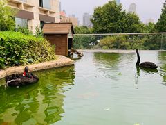 -南京圣和府邸豪华精选酒店