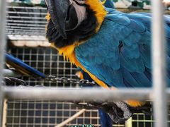 -鄂尔多斯野生动物园