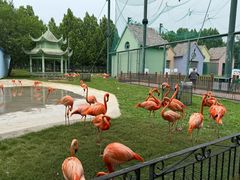 -秦皇岛野生动物园
