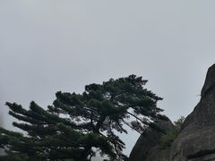 -黄山玉屏楼宾馆餐厅