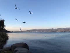 -西昌邛海湾柏樾酒店(原邛海湾柏栎度假酒店)