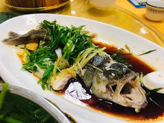 清蒸鲈鱼-成惠食府(赤岗店)