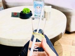 -苏州希尔顿酒店·园大堂吧