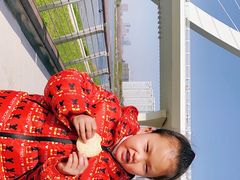 -南京眼步行桥