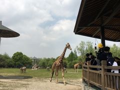 -宁波野生动物园