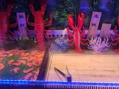 -阪尚皇·原切牛排·烤肉火锅自助(北京路店)