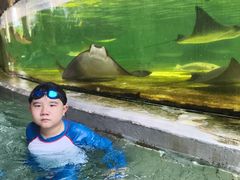 -新加坡水上探险乐园