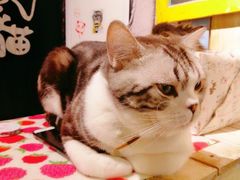 -小时光咖啡馆(开森度假森林店)