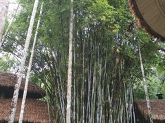 -海南槟榔谷黎苗文化旅游区