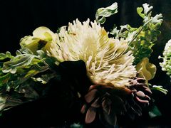 -LYFATTI 莱芙缇(赣水路店)