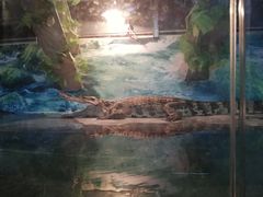 -成都浩海立方海洋公园