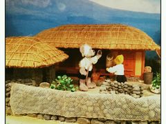 -济州岛泰迪熊博物馆