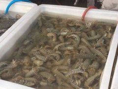 皮皮虾-盛华世家商业广场农贸水产综合批发市场