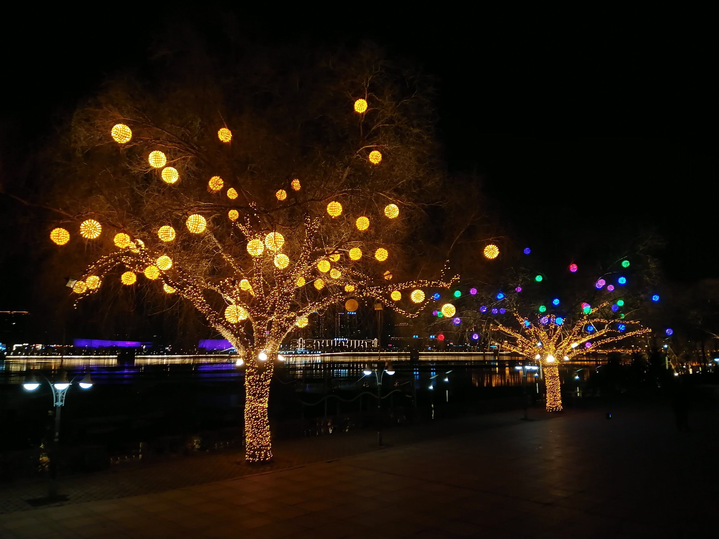 江滨公园的夜景