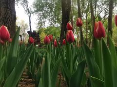 -长春公园(普阳街道)