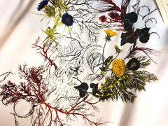 -Alexander McQueen(远洋太古里店)