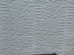 -LuluCake·路鹿蛋糕