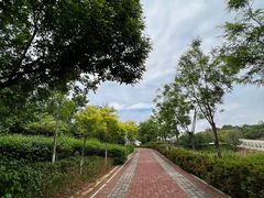 -北京张裕爱斐堡酒庄