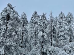 -瓦屋山景区