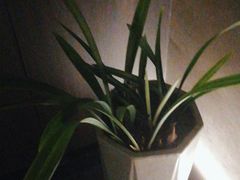 -泰之源足浴会所(玉环店)