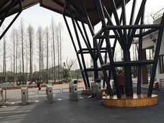 -上海长兴岛郊野公园