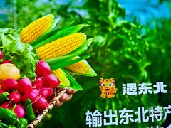 -遇东北林区铁锅炖(南开店)