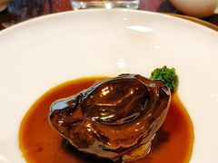 蚝皇汁扣12头吉品鲍-三利音·浦之舟(滨江大道店)