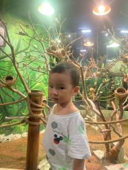 -Zoolung Zoolung动物主题公园(海信广场店)