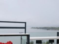 -野菌皇海景野生菌火锅(滨海大道店)