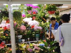 -三旗百汇商品城