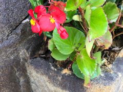 -广州白江湖森林公园