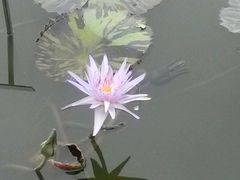 -东莞植物园
