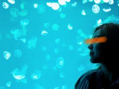 -多彩贵州城极地海洋世界