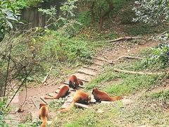 -蜀大侠火锅(寰球文化地标·总府店)