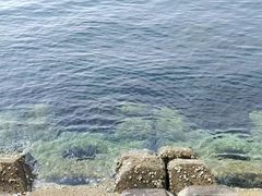 -星海广场